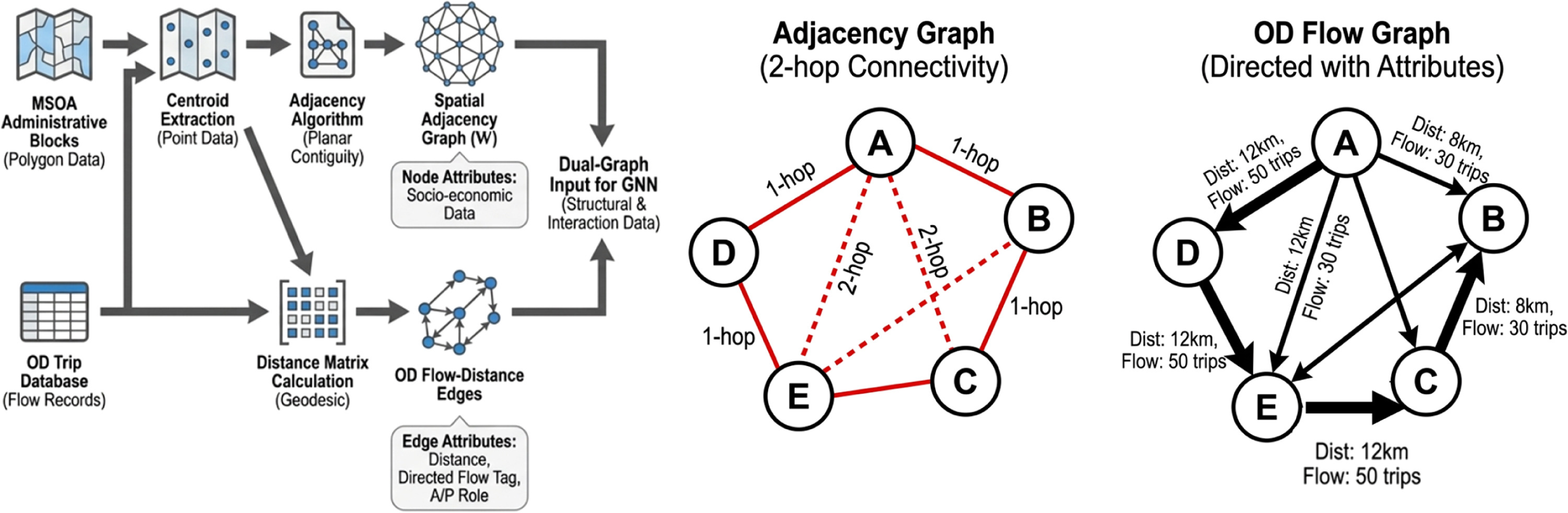 PIG-GNN의 spatial adjacency graph와 directed OD graph